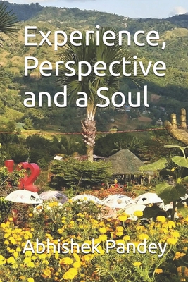 Experience, Perspective and a Soul B085DRDYKS Book Cover