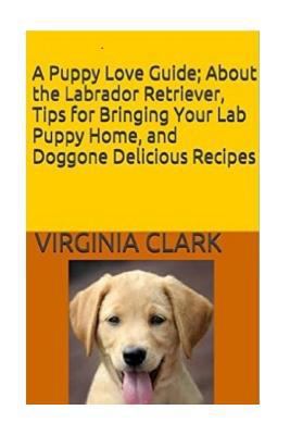 A Puppy Love Guide: About the Labrador Retrieve... 197814069X Book Cover