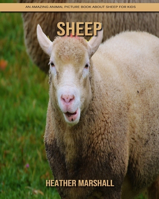 Paperback Sheep: An Amazing Animal Picture Book about Sheep for Kids [Large Print] Book