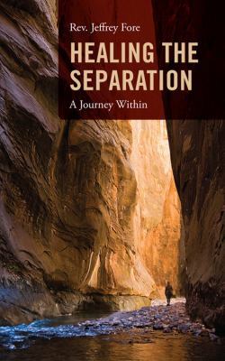 Healing the Separation: A Journey Within 1432768492 Book Cover