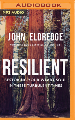 Resilient: Restoring Your Weary Soul in These T... 1713676567 Book Cover