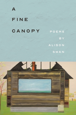 A Fine Canopy 0814348068 Book Cover