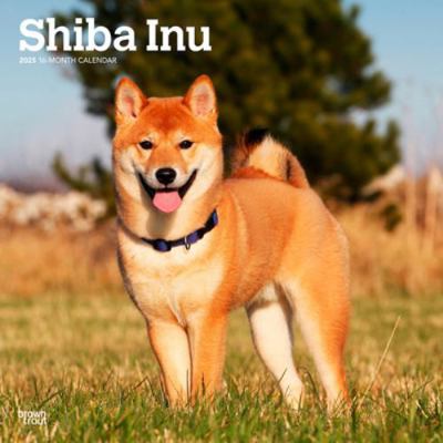 Shiba Inu 2025 12 X 24 Inch Monthly Square Wall... 1975477731 Book Cover