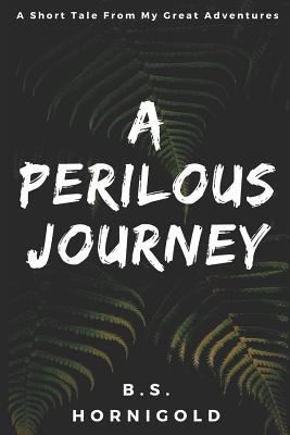 A Perilous Journey: A Short Tale From My Great ... 1521007721 Book Cover