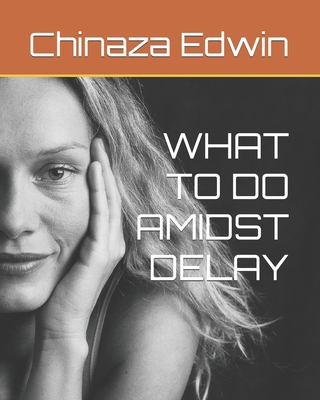 What to Do Amidst Delay B0B92L8GQL Book Cover