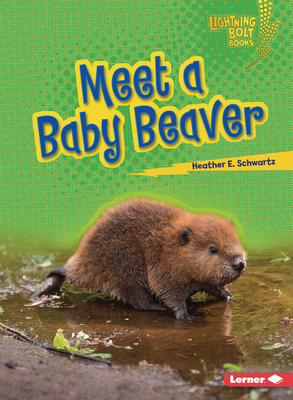 Meet a Baby Beaver B0BP7SCS9Q Book Cover