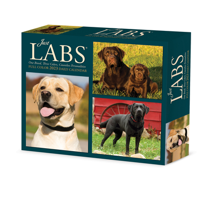 Labs 2023 Box Calendar 1549229044 Book Cover
