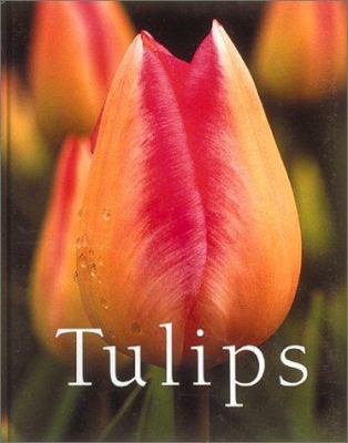 Tulips 1586635506 Book Cover
