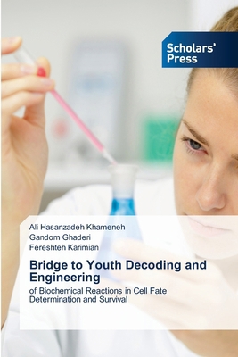 Bridge to Youth Decoding and Engineering 6200696195 Book Cover