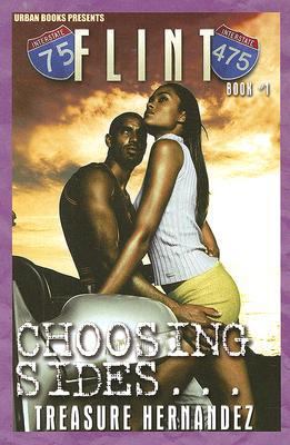 Flint: Book 1: Choosing Sides 1601620594 Book Cover