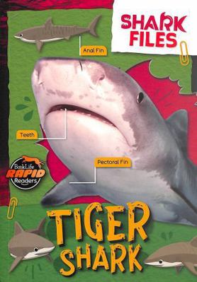 BookLife Publishing Tiger Shark (Shark Files). 1805056867 Book Cover