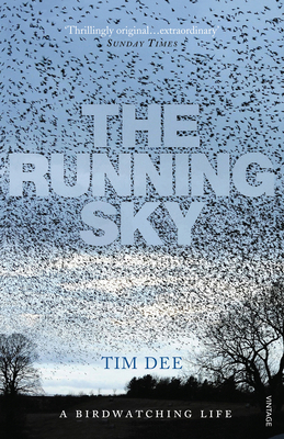 RUNNING SKY, THE 0099516497 Book Cover
