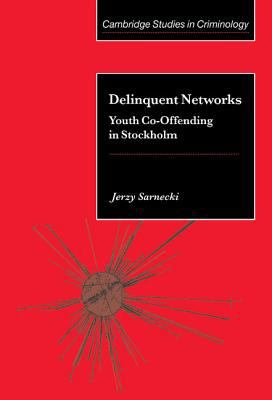 Delinquent Networks 0521802393 Book Cover