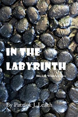 In the Labyrinth (B&W Edition) 1978029403 Book Cover