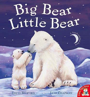 Big Bear Little Bear 1845063627 Book Cover