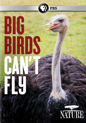 Nature: Big Birds Can't Fly            Book Cover