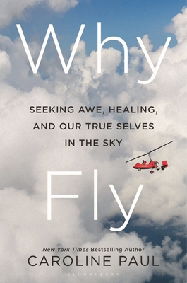 Why Fly: Seeking Awe, Healing, and Our True Sel... 1639734996 Book Cover