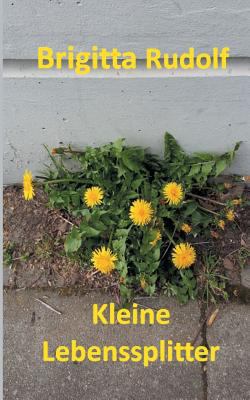 Kleine Lebenssplitter [German] 3746089360 Book Cover