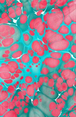 Paperback Everybody Press Review, Issue No. 1 Book