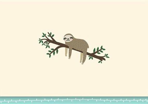 Note Card Sloth 1441328084 Book Cover