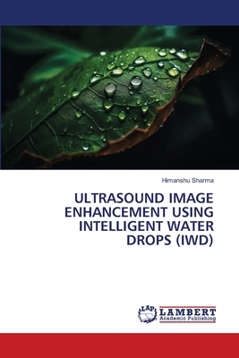 Ultrasound Image Enhancement Using Intelligent ... 6208441056 Book Cover