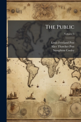 The Public: A Journal Of Democracy; Volume 5 1175780820 Book Cover