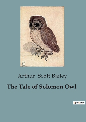 The Tale of Solomon Owl B0CJT8Q1HL Book Cover