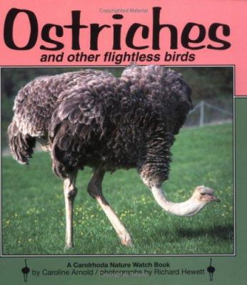 Ostriches and Other Flightless Birds 087614377X Book Cover