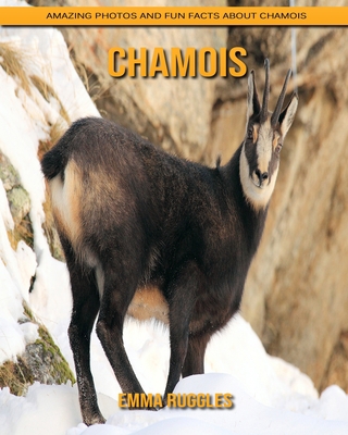 Paperback Chamois: Amazing Photos and Fun Facts about Chamois [Large Print] Book