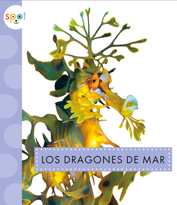 Los Dragones de Mar [Spanish] 1681527391 Book Cover
