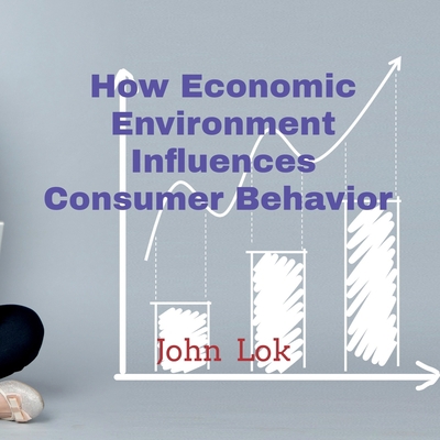How Economic Environment Influences Consumer Be... B09QKVZ5B3 Book Cover