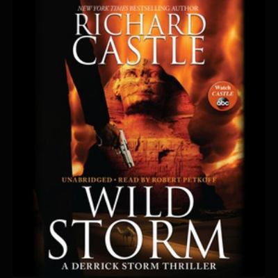 Wild Storm Lib/E: A Derrick Storm Thriller 147898628X Book Cover