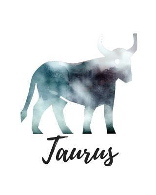 Taurus: Taurus Sketch Book 1727785428 Book Cover
