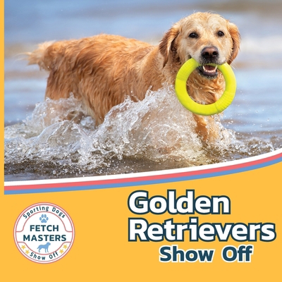 Golden Retrievers Show Off 1532455240 Book Cover