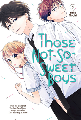 Those Not-So-Sweet Boys 3 1646511980 Book Cover