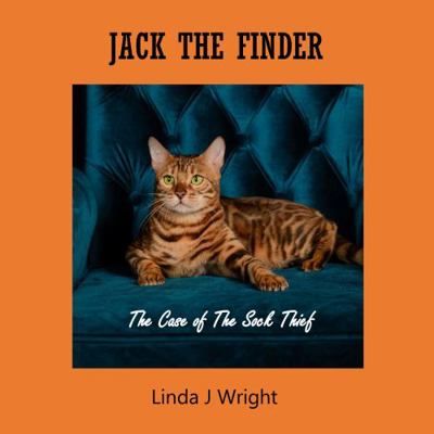 Jack the Finder : The Case of the Sock Thief