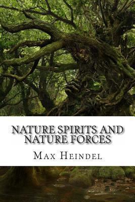Nature Spirits and Nature Forces 1482759233 Book Cover