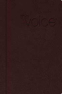 Voice Bible-VC: Step Into the Story of Scripture 1418549029 Book Cover