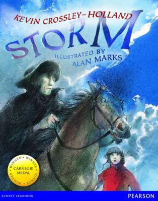 Wordsmith Year 3 Storm 0435159984 Book Cover