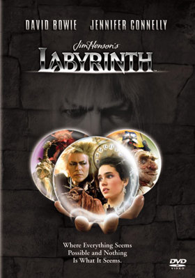 DVD Labyrinth Book