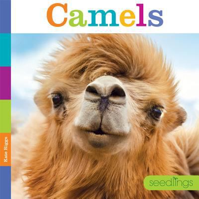 Seedlings Camels 1608185133 Book Cover