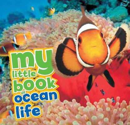 My Little Book of Ocean Life 1784930121 Book Cover