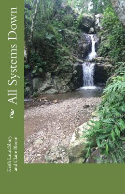 All Systems Down 1503267024 Book Cover