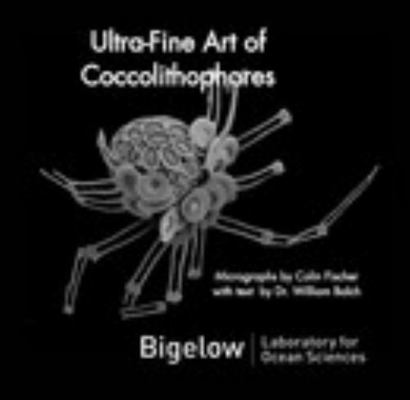 Ultra-Fine Art of Coccolithophores