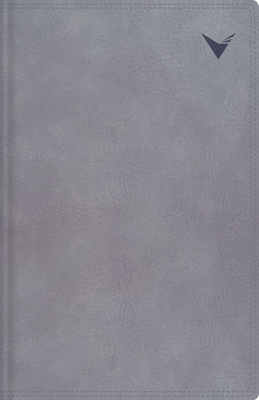 Nbla, Biblia de Estudio, Interior a DOS Colores... [Spanish] 0829730869 Book Cover