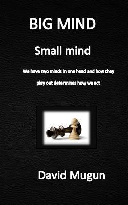 BIG MIND small mind: We have two minds in one head 1096944901 Book Cover