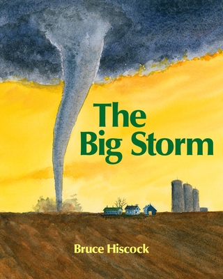 The Big Storm 1590786009 Book Cover