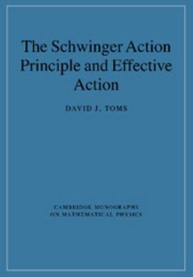 The Schwinger Action Principle and Effective Ac... 1107406307 Book Cover
