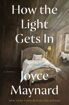 How the Light Gets In: A Novel 0063422697 Book Cover
