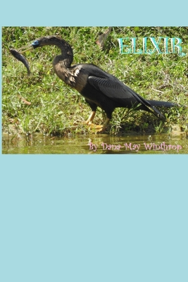 Elixir B0851MXYJ9 Book Cover